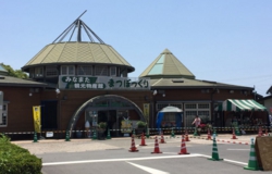 水俣観光物産館（どんぐり）