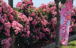 水俣観光物産館（どんぐり）